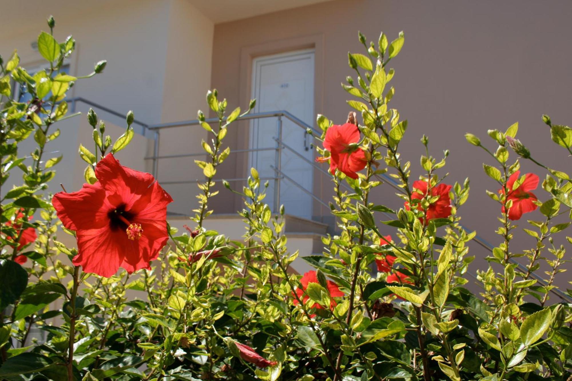Hotel Amaryllis Front Lardos