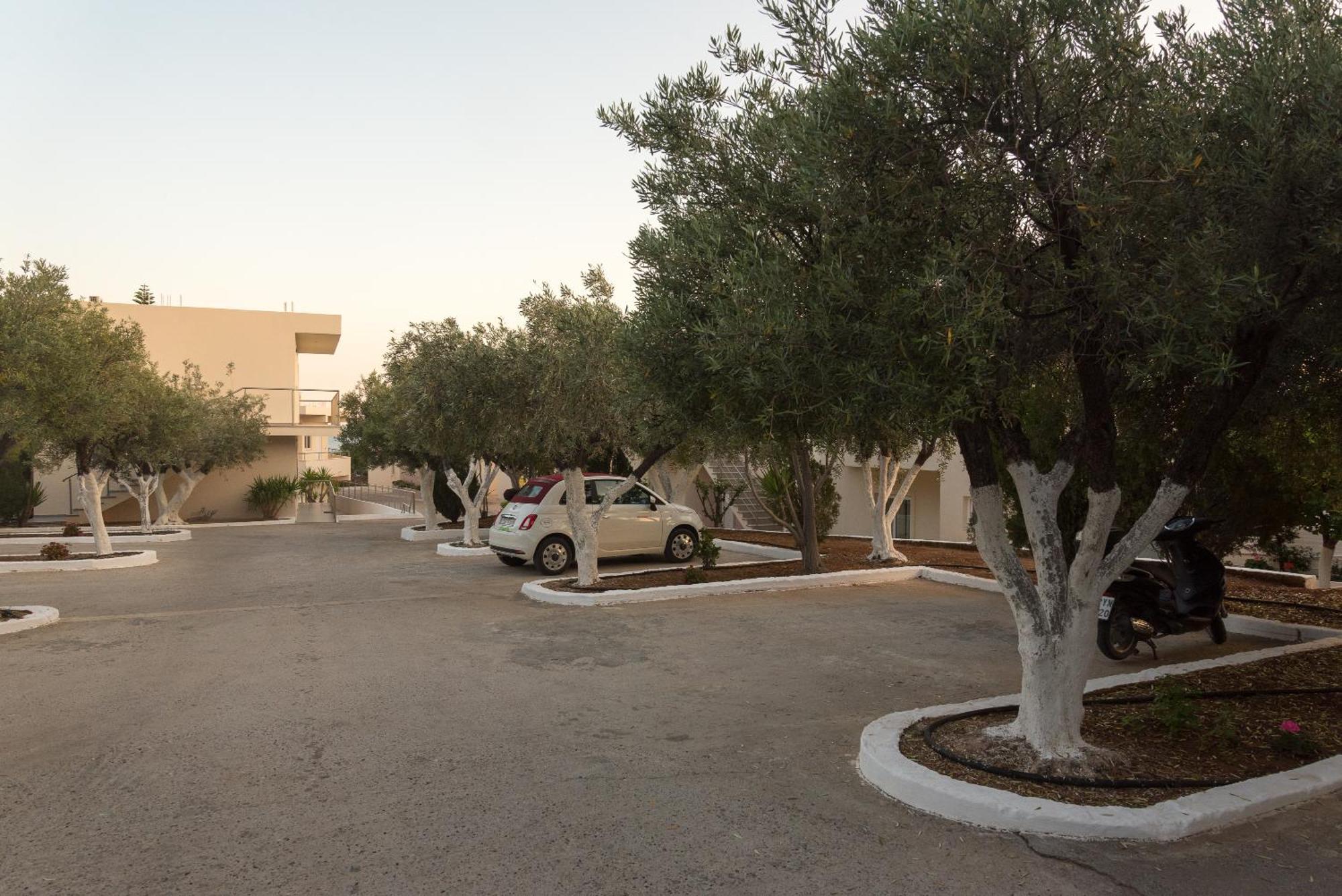Amaryllis Front Hotel 3*