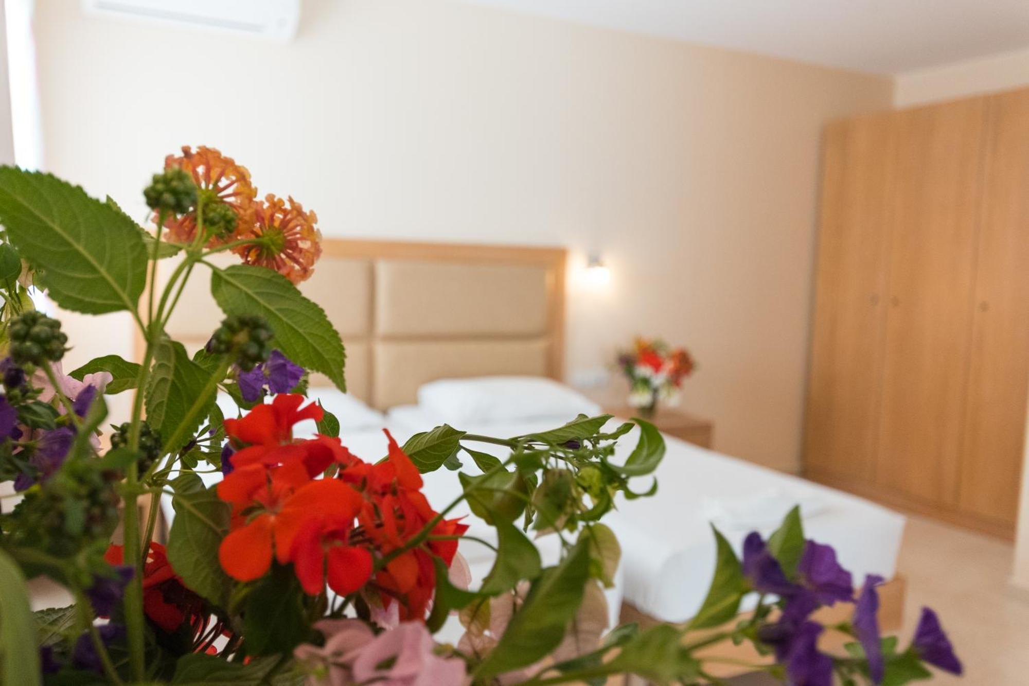 Hotel Amaryllis Front 3*